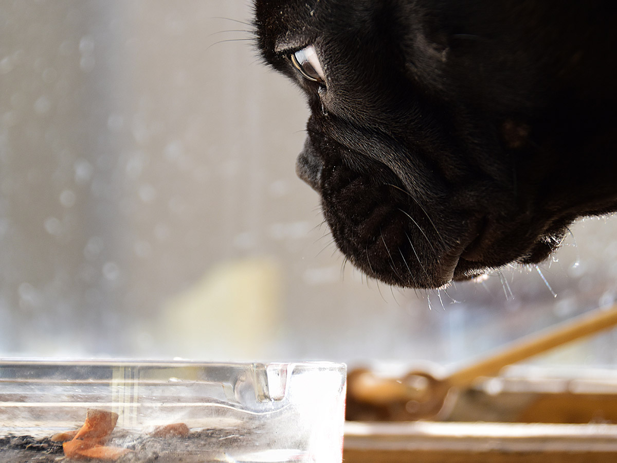 Geruchsentfernung Wohnmobil